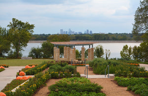 6 Texas Botanical Gardens to Visit All Year Long