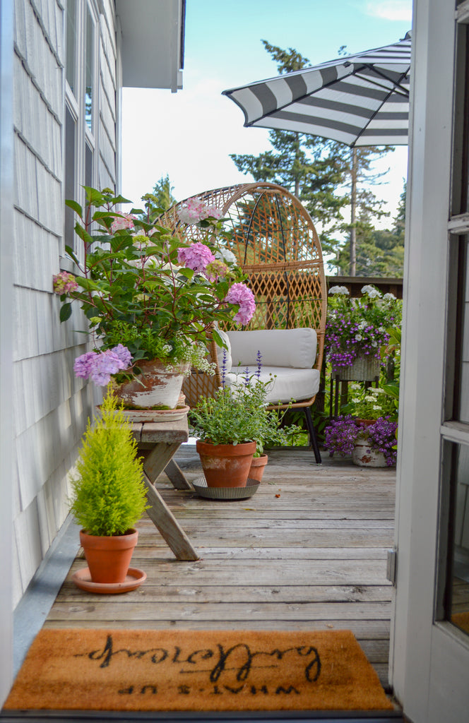 Small Space Potted Flower Garden Tour