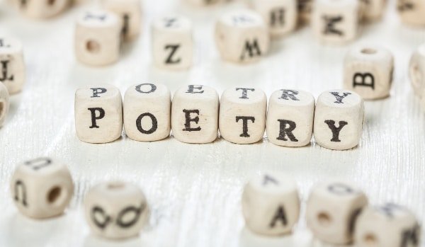E – Poetry and Its Cyber Branches